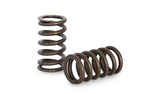 Kelford Valve Springs EVO X