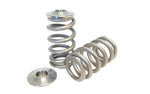 Kelford Beehive Valve Springs EVO X