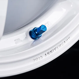RAYS Volk Racing TE37SAGA S-plus 30TH MACHINING Ver. Wheel