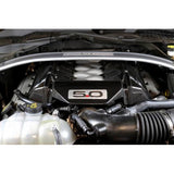 APR Carbon Engine Cover Ford Mustang GT 5.0 15-17