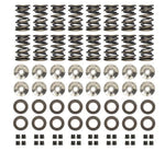 Ferrea Valve Spring Kit EVO 4-9