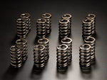 JUN Valve Springs EVO X