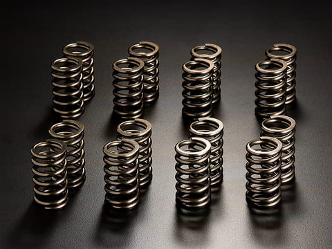 JUN Valve Springs EVO X